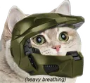 hypecat