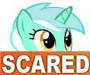 scared scared