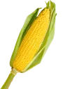 corn