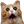 DHwow
