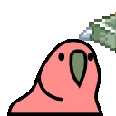 flying_money_parrot