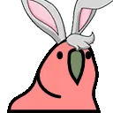 bunny_parrot