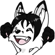 bakudaYay