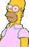 homerdisappear