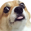 JoliShit custom emote - Arcade