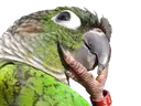 hmm