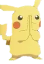 PikaPray