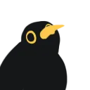 birdstare2 birdstare2
