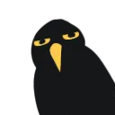 birdsquint