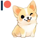 corgi