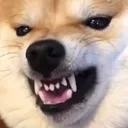 mariaANGERY mariaANGERY