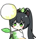 Kusacheer Kusacheer