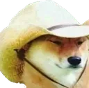 howdyboye howdyboye