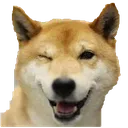 WinkBoye WinkBoye