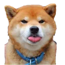 pffffboye