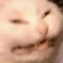 eeeee