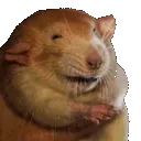 RubRub