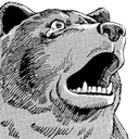 omgbear