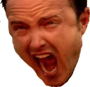 jesse jesse