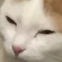 squint