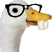 nerdgoose