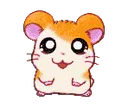 hamham