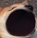 OMEGAKEK