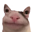 fine