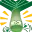 leak