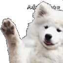 DoggoWave2