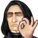 SnapeOk