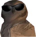 OwlSunglasses