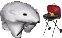 grillbear grillbear