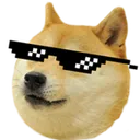doge