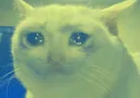 Sadgreenboy