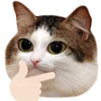 cat_thinking