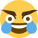 JoyBrows