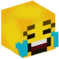 JoyMinecraft