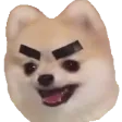 hecticRawr