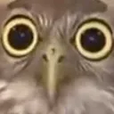 OwO