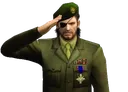 salute