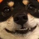 haHAA