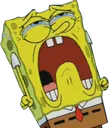 cry