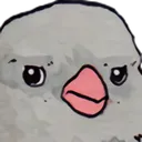 Birb