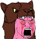 :bearwojak: Discord Emote