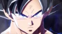 UIsignGoku