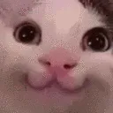 heheyes heheyes