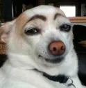 hellothere