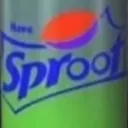 sproot