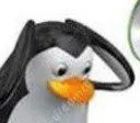 wtfpenguin